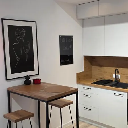 Loft 14 Z Ogrodkiem *