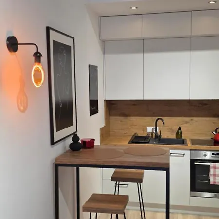 Loft 14 Z Ogrodkiem 公寓 *