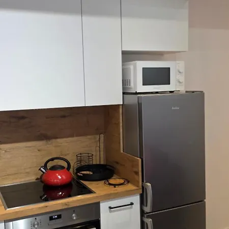Loft 14 Z Ogrodkiem *